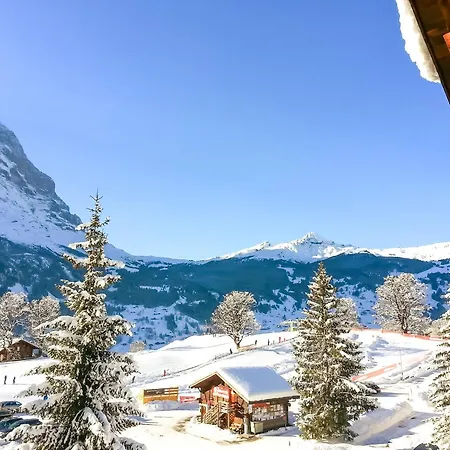 Bodmi On The Top Apartment - Aare Jungfrau Ag Grindelwald Exterior photo