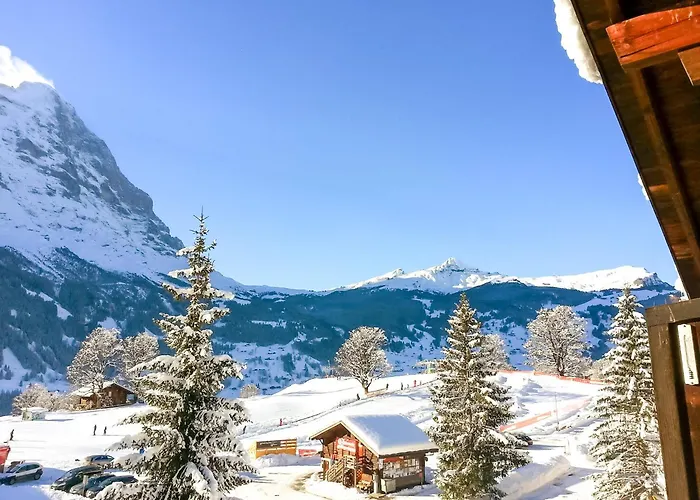 Bodmi On The Top Apartment - Aare Jungfrau Ag