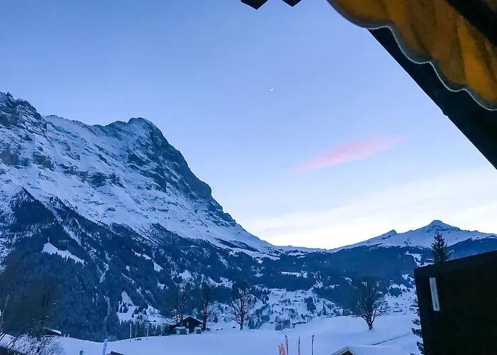 Bodmi On The Top Apartment - Aare Jungfrau Ag
